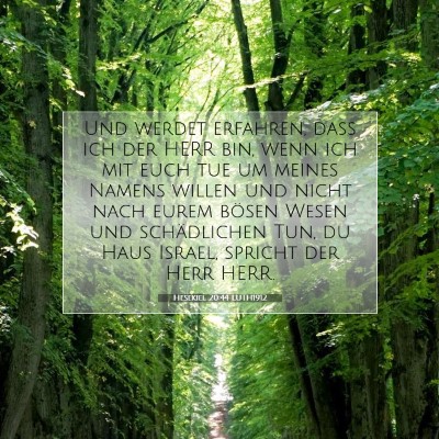 Picture 07 - Hesekiel 20:44 LUTH1912 - Und werdet erfahren, daß ich der HERR bin, wenn - Bible Verse Picture