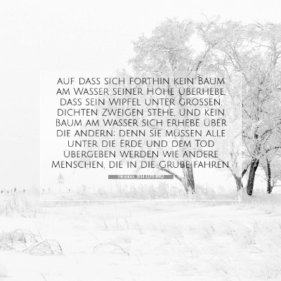 Picture 07 - Hesekiel 31:14 LUTH1912 - auf daß sich forthin kein Baum am Wasser seiner - Bible Verse Picture