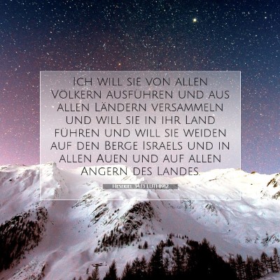 Picture 07 - Hesekiel 34:13 LUTH1912 - Ich will sie von allen Völkern ausführen und - Bible Verse Picture