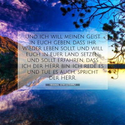 Picture 07 - Hesekiel 37:14 LUTH1912 - Und ich will meinen Geist in euch geben, daß ihr - Bible Verse Picture