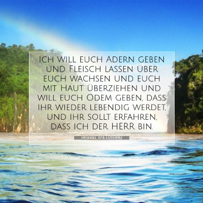 Picture 07 - Hesekiel 37:6 LUTH1912 - Ich will euch Adern geben und Fleisch lassen - Bible Verse Picture