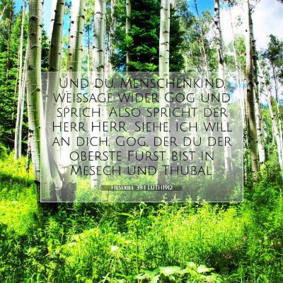 Picture 07 - Hesekiel 39:1 LUTH1912 - Und du, Menschenkind, weissage wider Gog und - Bible Verse Picture