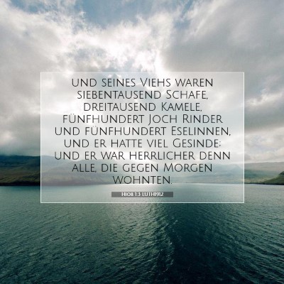 Picture 07 - Hiob 1:3 LUTH1912 - und seines Viehs waren siebentausend Schafe, - Bible Verse Picture
