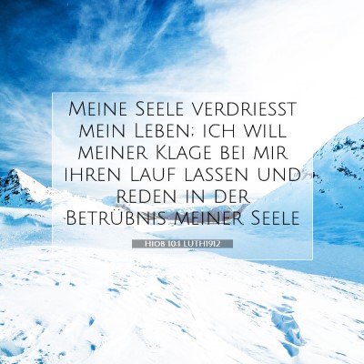 Picture 07 - Hiob 10:1 LUTH1912 - Meine Seele verdrießt mein Leben; ich will - Bible Verse Picture