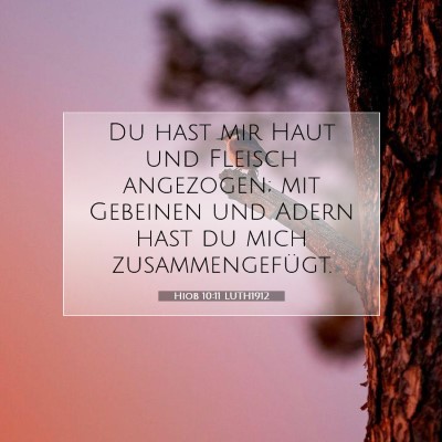 Picture 07 - Hiob 10:11 LUTH1912 - Du hast mir Haut und Fleisch angezogen; mit - Bible Verse Picture