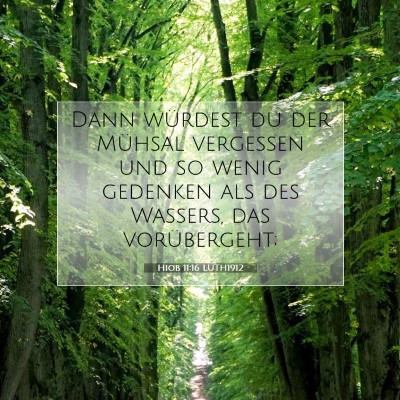 Picture 07 - Hiob 11:16 LUTH1912 - Dann würdest du der Mühsal vergessen und so - Bible Verse Picture