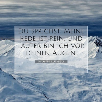 Picture 07 - Hiob 11:4 LUTH1912 - Du sprichst: Meine Rede ist rein, und lauter bin - Bible Verse Picture