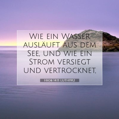 Picture 07 - Hiob 14:11 LUTH1912 - Wie ein Wasser ausläuft aus dem See, und wie ein - Bible Verse Picture
