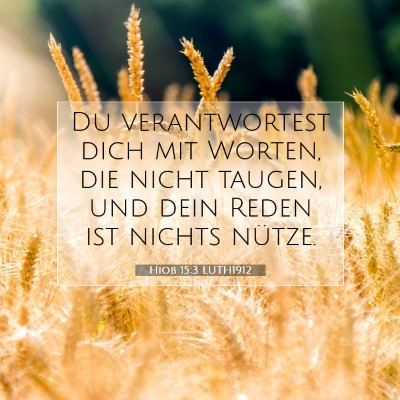 Picture 07 - Hiob 15:3 LUTH1912 - Du verantwortest dich mit Worten, die nicht - Bible Verse Picture