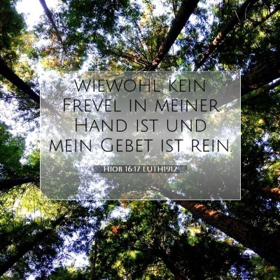 Picture 07 - Hiob 16:17 LUTH1912 - wiewohl kein Frevel in meiner Hand ist und mein - Bible Verse Picture