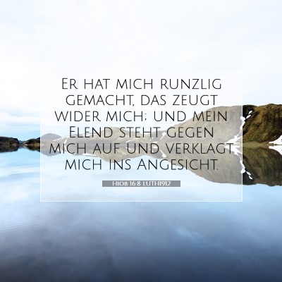 Picture 07 - Hiob 16:8 LUTH1912 - Er hat mich runzlig gemacht, das zeugt wider - Bible Verse Picture