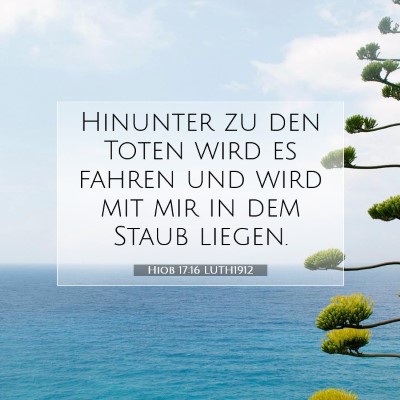 Picture 07 - Hiob 17:16 LUTH1912 - Hinunter zu den Toten wird es fahren und wird mit - Bible Verse Picture