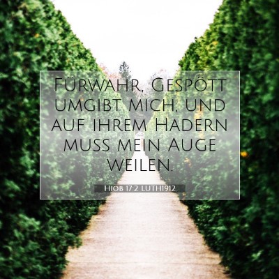 Picture 07 - Hiob 17:2 LUTH1912 - Fürwahr, Gespött umgibt mich, und auf ihrem - Bible Verse Picture