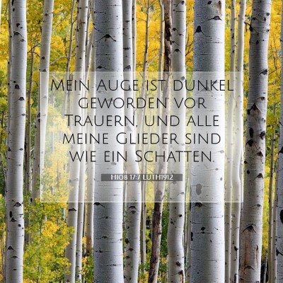 Picture 07 - Hiob 17:7 LUTH1912 - Mein Auge ist dunkel geworden vor Trauern, und - Bible Verse Picture