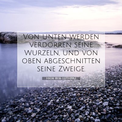 Picture 07 - Hiob 18:16 LUTH1912 - Von unten werden verdorren seine Wurzeln, und von - Bible Verse Picture