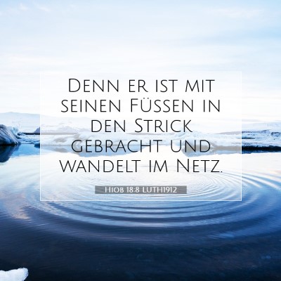 Picture 07 - Hiob 18:8 LUTH1912 - Denn er ist mit seinen Füßen in den Strick - Bible Verse Picture