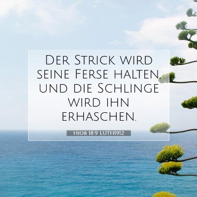 Picture 07 - Hiob 18:9 LUTH1912 - Der Strick wird seine Ferse halten, und die - Bible Verse Picture