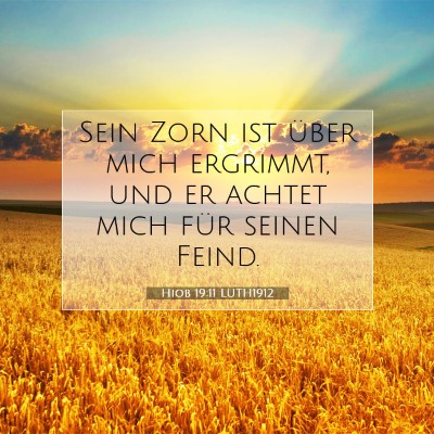Picture 07 - Hiob 19:11 LUTH1912 - Sein Zorn ist über mich ergrimmt, und er achtet - Bible Verse Picture
