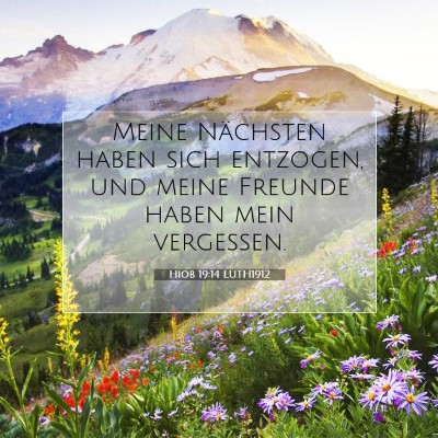 Picture 07 - Hiob 19:14 LUTH1912 - Meine Nächsten haben sich entzogen, und meine - Bible Verse Picture