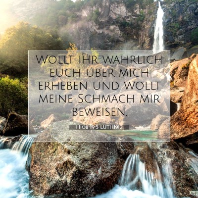 Picture 07 - Hiob 19:5 LUTH1912 - Wollt ihr wahrlich euch über mich erheben und - Bible Verse Picture
