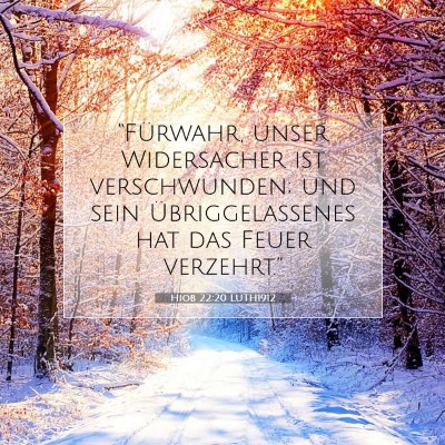 Picture 07 - Hiob 22:20 LUTH1912 - “Fürwahr, unser Widersacher ist verschwunden; - Bible Verse Picture