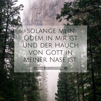 Picture 07 - Hiob 27:3 LUTH1912 - solange mein Odem in mir ist und der Hauch von - Bible Verse Picture