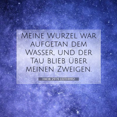 Picture 07 - Hiob 29:19 LUTH1912 - Meine Wurzel war aufgetan dem Wasser, und der Tau - Bible Verse Picture
