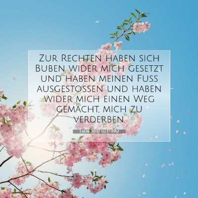Picture 07 - Hiob 30:12 LUTH1912 - Zur Rechten haben sich Buben wider mich gesetzt - Bible Verse Picture