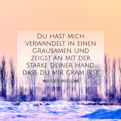Picture 07 - Hiob 30:21 LUTH1912 - Du hast mich verwandelt in einen Grausamen und - Bible Verse Picture