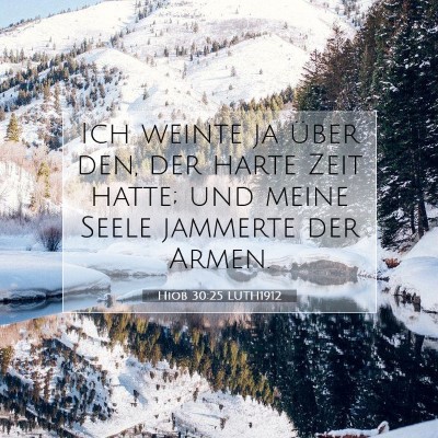 Picture 07 - Hiob 30:25 LUTH1912 - Ich weinte ja über den, der harte Zeit hatte; - Bible Verse Picture