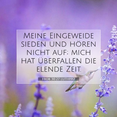 Picture 07 - Hiob 30:27 LUTH1912 - Meine Eingeweide sieden und hören nicht auf; - Bible Verse Picture