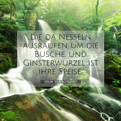 Picture 07 - Hiob 30:4 LUTH1912 - die da Nesseln ausraufen um die Büsche, und - Bible Verse Picture