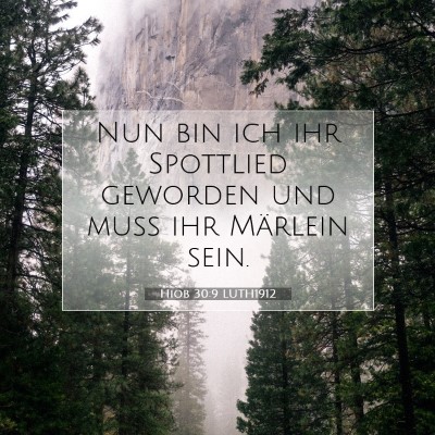 Picture 07 - Hiob 30:9 LUTH1912 - Nun bin ich ihr Spottlied geworden und muß ihr - Bible Verse Picture