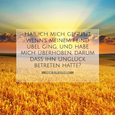 Picture 07 - Hiob 31:29 LUTH1912 - Hab ich mich gefreut, wenn's meinem Feind übel - Bible Verse Picture