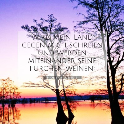 Picture 07 - Hiob 31:38 LUTH1912 - Wird mein Land gegen mich schreien und werden - Bible Verse Picture