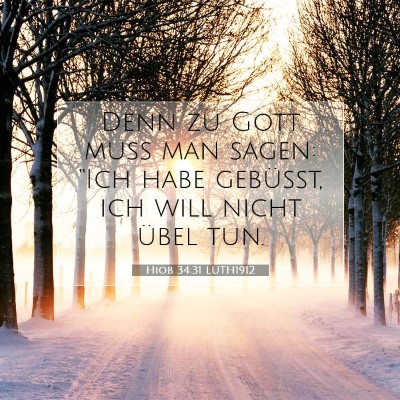 Picture 07 - Hiob 34:31 LUTH1912 - Denn zu Gott muß man sagen: “Ich habe - Bible Verse Picture