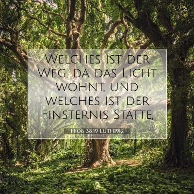 Picture 07 - Hiob 38:19 LUTH1912 - Welches ist der Weg, da das Licht wohnt, und - Bible Verse Picture