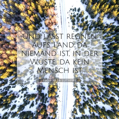 Picture 07 - Hiob 38:26 LUTH1912 - und läßt regnen aufs Land da niemand ist, in - Bible Verse Picture