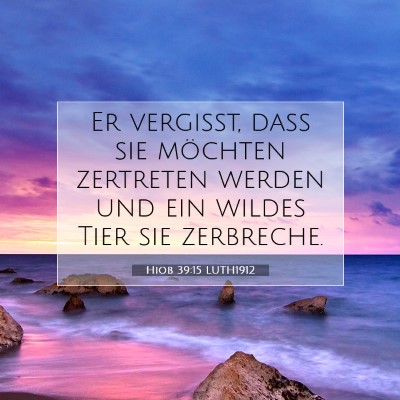 Picture 07 - Hiob 39:15 LUTH1912 - Er vergißt, daß sie möchten zertreten werden - Bible Verse Picture