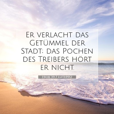 Picture 07 - Hiob 39:7 LUTH1912 - Er verlacht das Getümmel der Stadt; das Pochen - Bible Verse Picture