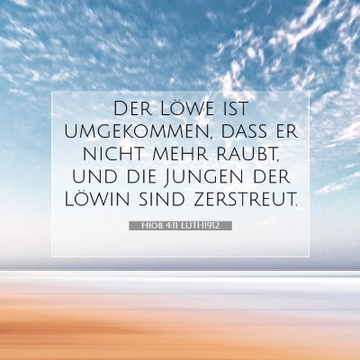 Picture 07 - Hiob 4:11 LUTH1912 - Der Löwe ist umgekommen, daß er nicht mehr - Bible Verse Picture