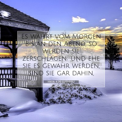 Picture 07 - Hiob 4:20 LUTH1912 - Es währt vom Morgen bis an den Abend, so werden - Bible Verse Picture