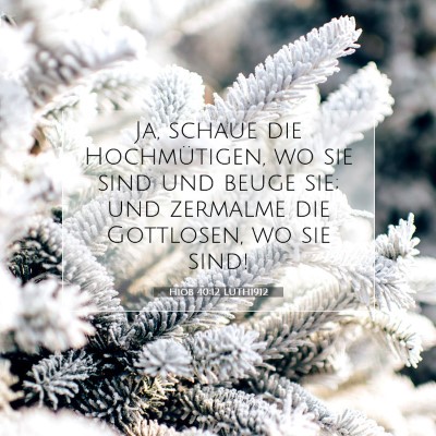 Picture 07 - Hiob 40:12 LUTH1912 - Ja, schaue die Hochmütigen, wo sie sind und - Bible Verse Picture