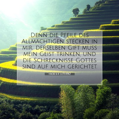 Picture 07 - Hiob 6:4 LUTH1912 - Denn die Pfeile des Allmächtigen stecken in mir: - Bible Verse Picture