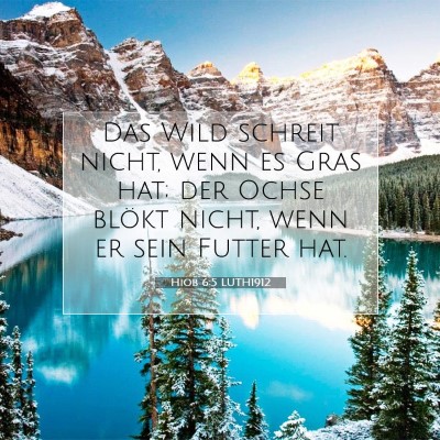 Picture 07 - Hiob 6:5 LUTH1912 - Das Wild schreit nicht, wenn es Gras hat; der - Bible Verse Picture