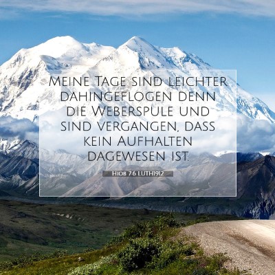 Picture 07 - Hiob 7:6 LUTH1912 - Meine Tage sind leichter dahingeflogen denn die - Bible Verse Picture