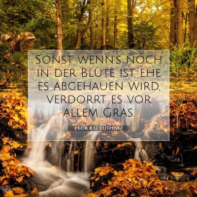 Picture 07 - Hiob 8:12 LUTH1912 - Sonst wenn's noch in der Blüte ist, ehe es - Bible Verse Picture