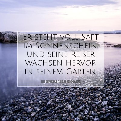 Picture 07 - Hiob 8:16 LUTH1912 - Er steht voll Saft im Sonnenschein, und seine - Bible Verse Picture