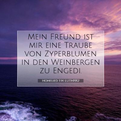 Picture 07 - Hohelied 1:14 LUTH1912 - Mein Freund ist mir eine Traube von Zyperblumen - Bible Verse Picture