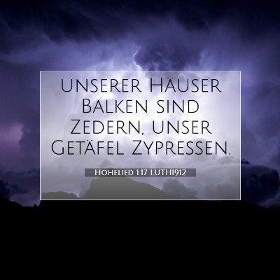 Picture 07 - Hohelied 1:17 LUTH1912 - unserer Häuser Balken sind Zedern, unser - Bible Verse Picture